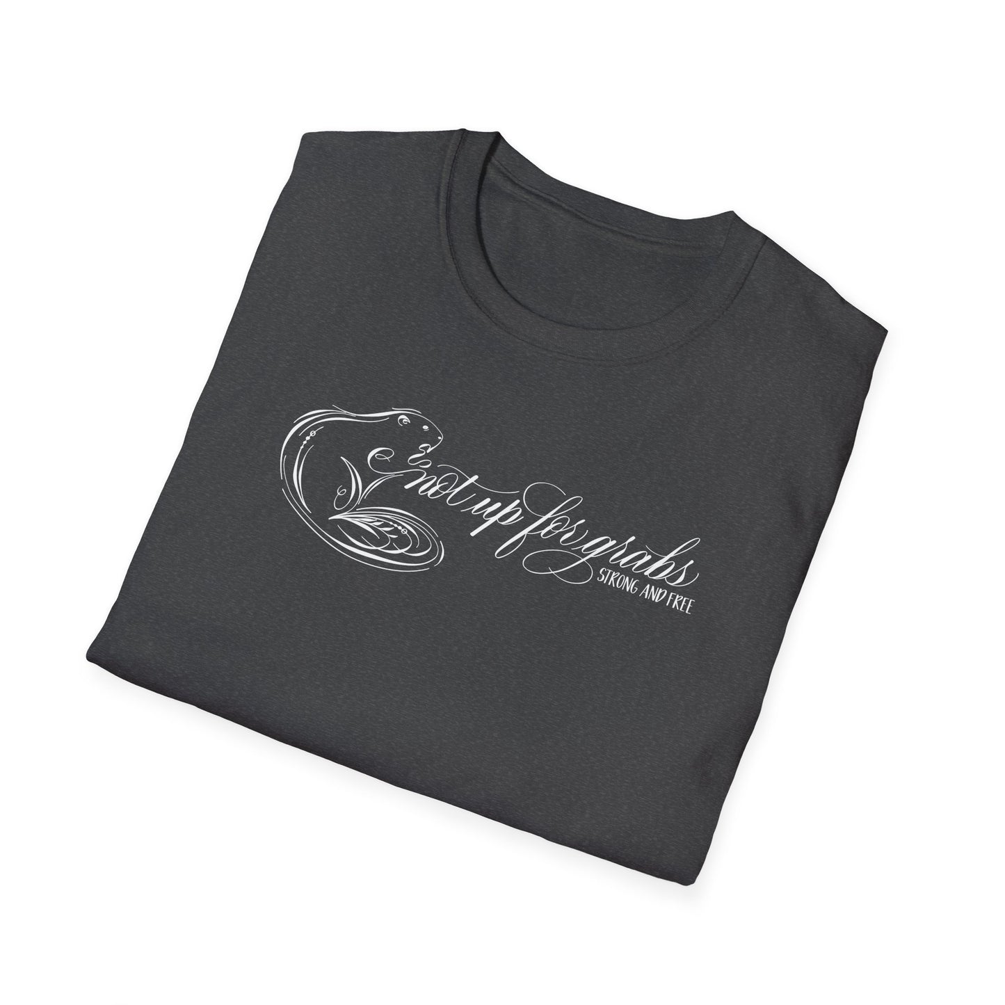 Not up for grabs unisex t-shirt