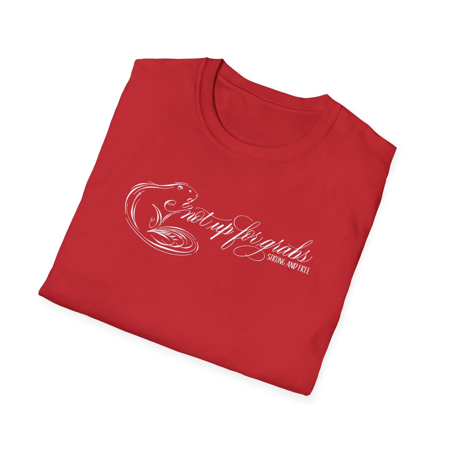 Not up for grabs unisex t-shirt