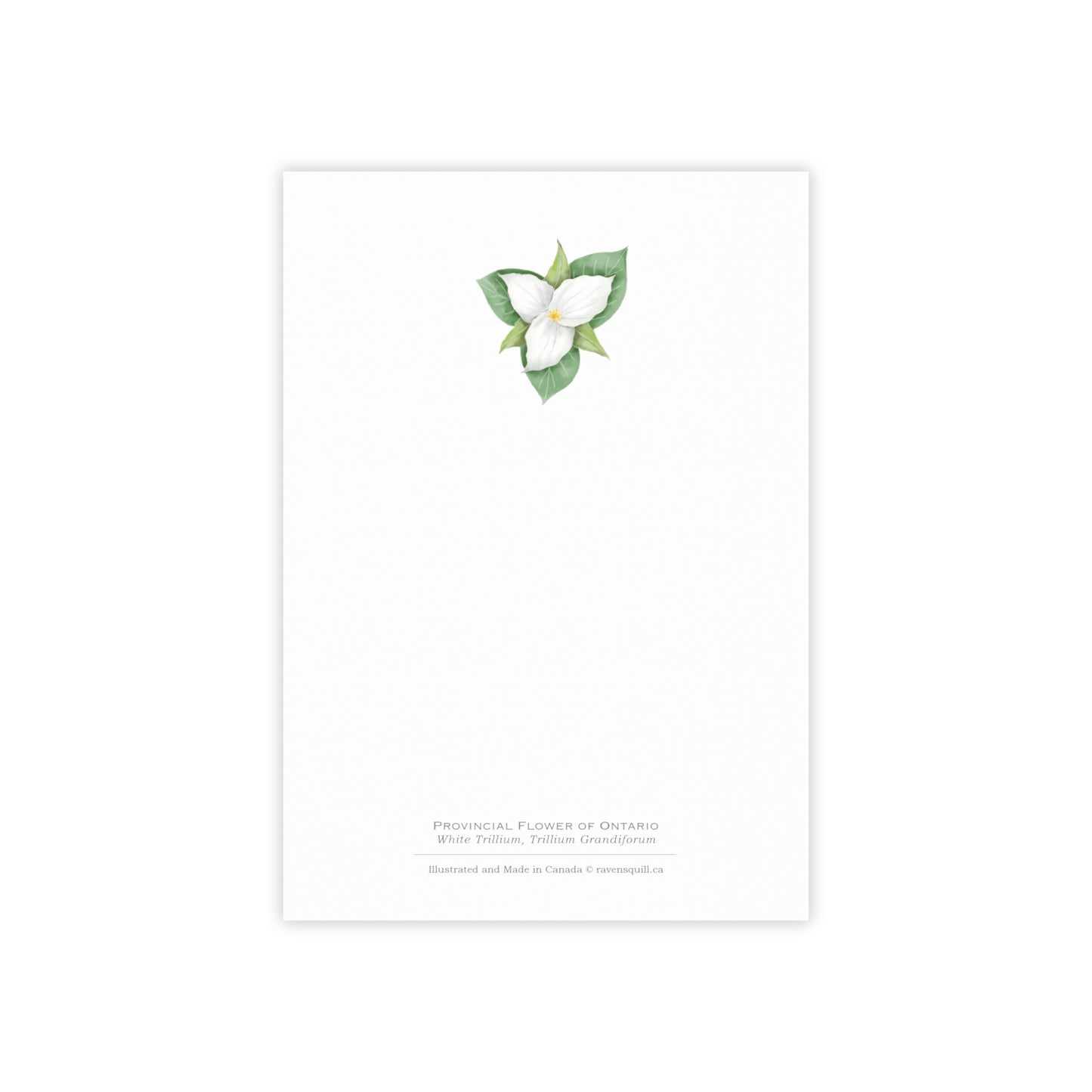 Provincial Flower of Ontario Notepad - White Trillium