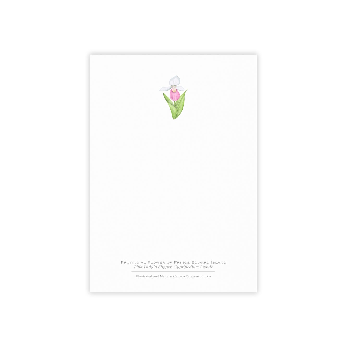 Provincial Flower of Prince Edward Island Notepad - Pink Lady's Slipper