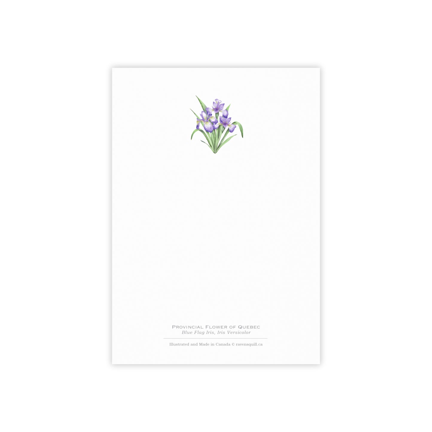 Provincial Flower of Quebec Notepad - Blue Flag Iris