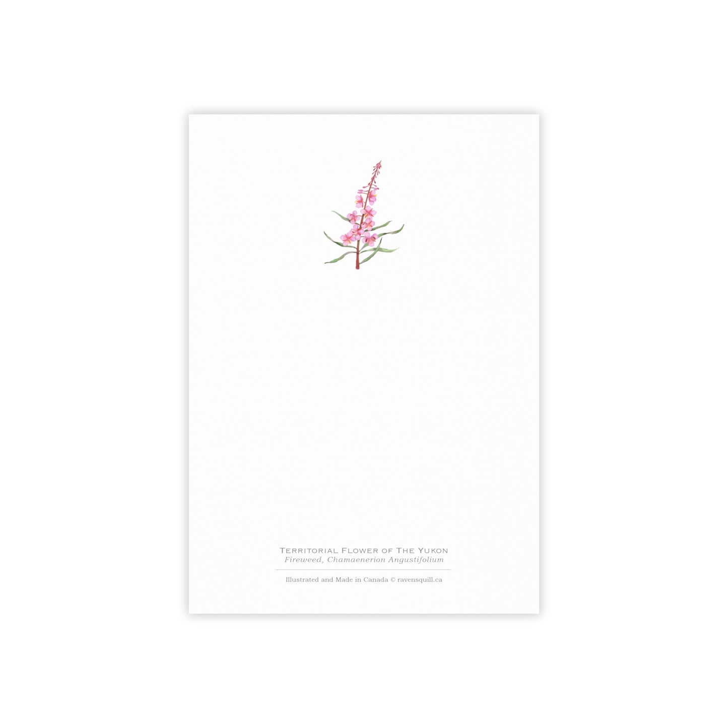 Territorial Flower of the Yukon Notepad - Fireweed