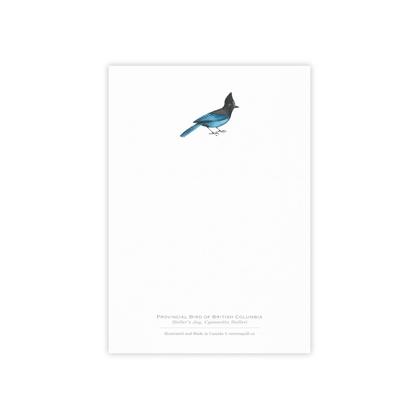 Provincial Bird of British Columbia Notepad - Steller's Jay