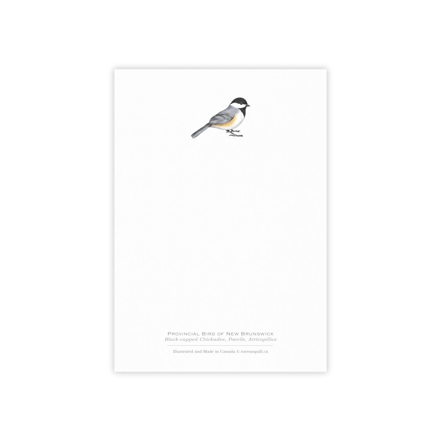Provincial Bird of New Brunswick Notepad - Black-capped Chickadee