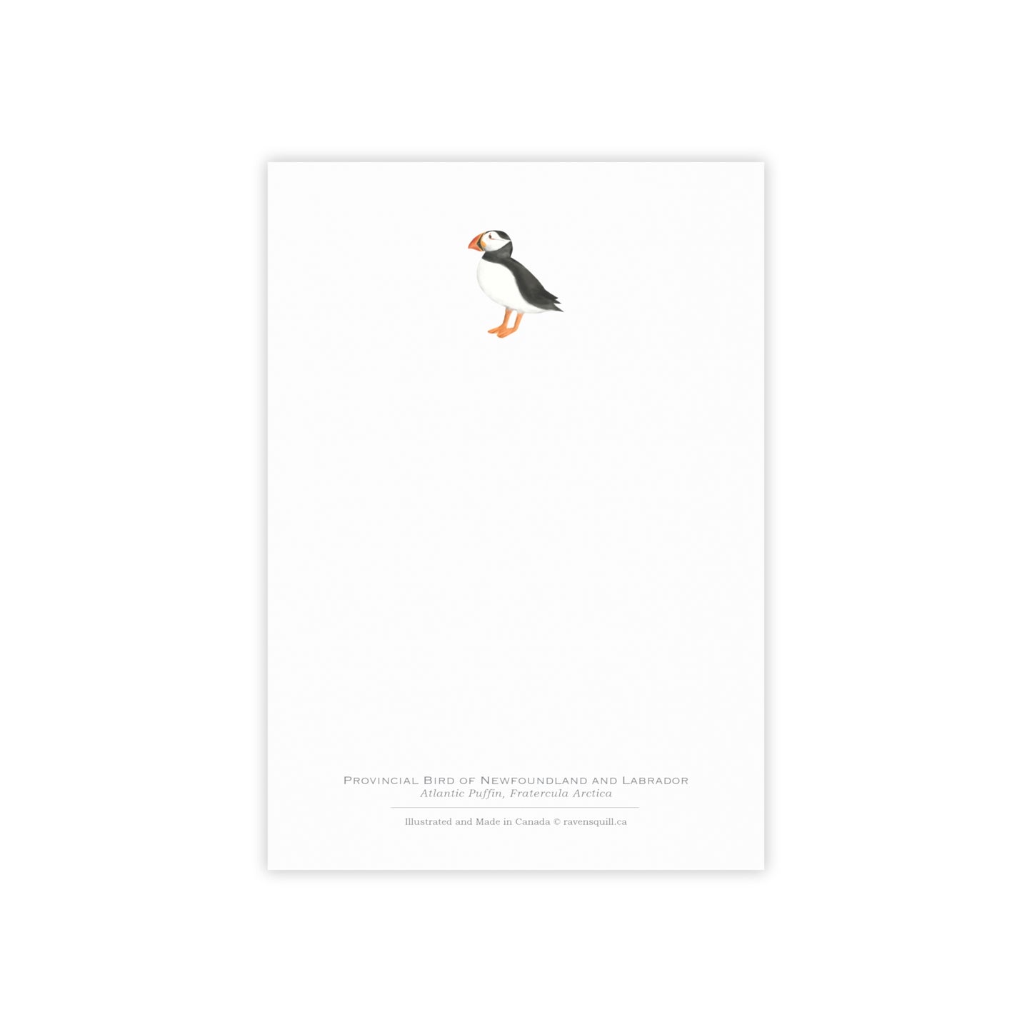 Provincial Bird of Newfoundland and Labrador Notepad - Atlantic Puffin