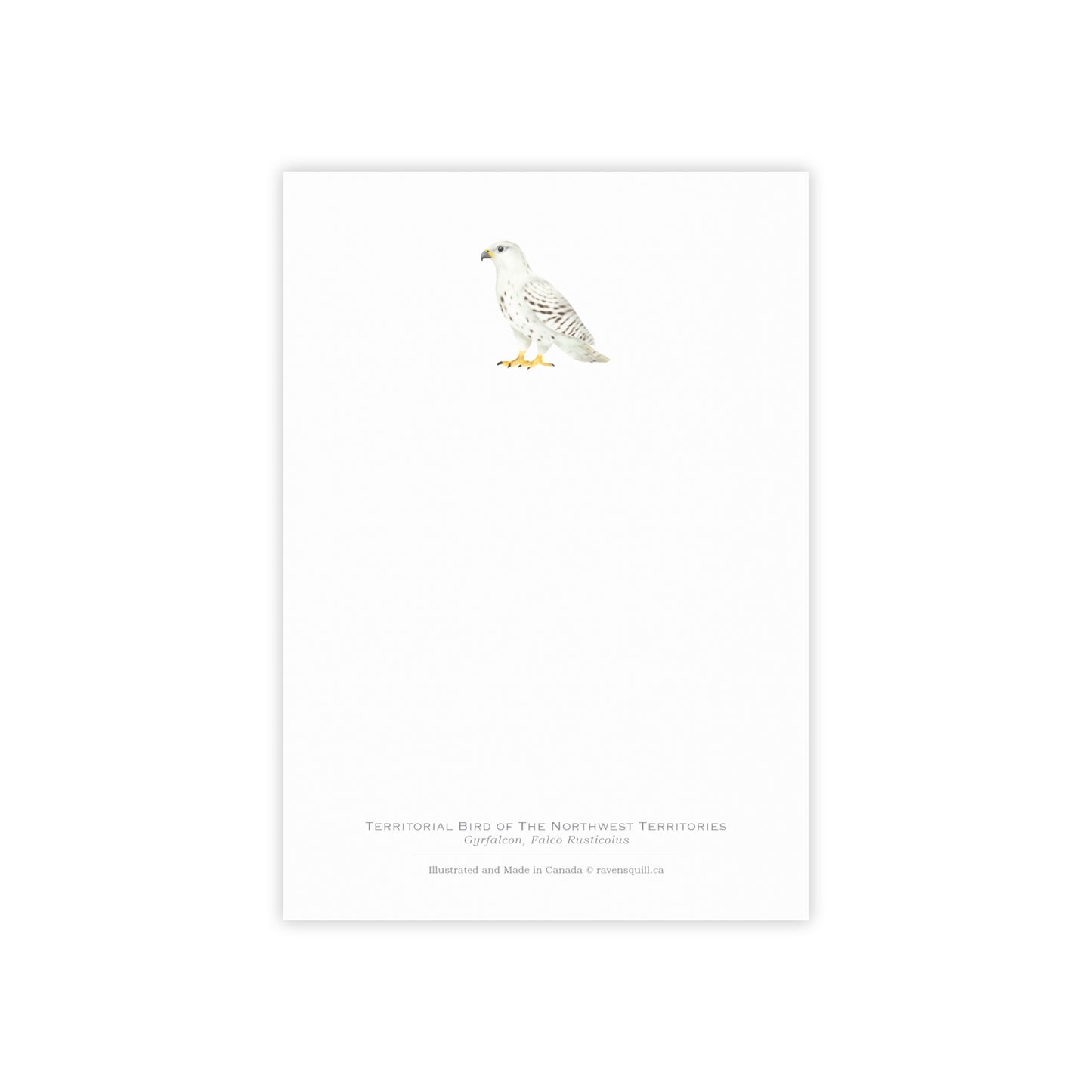 Territorial Bird of the Northwest Territories Notepad - Gyrfalcon