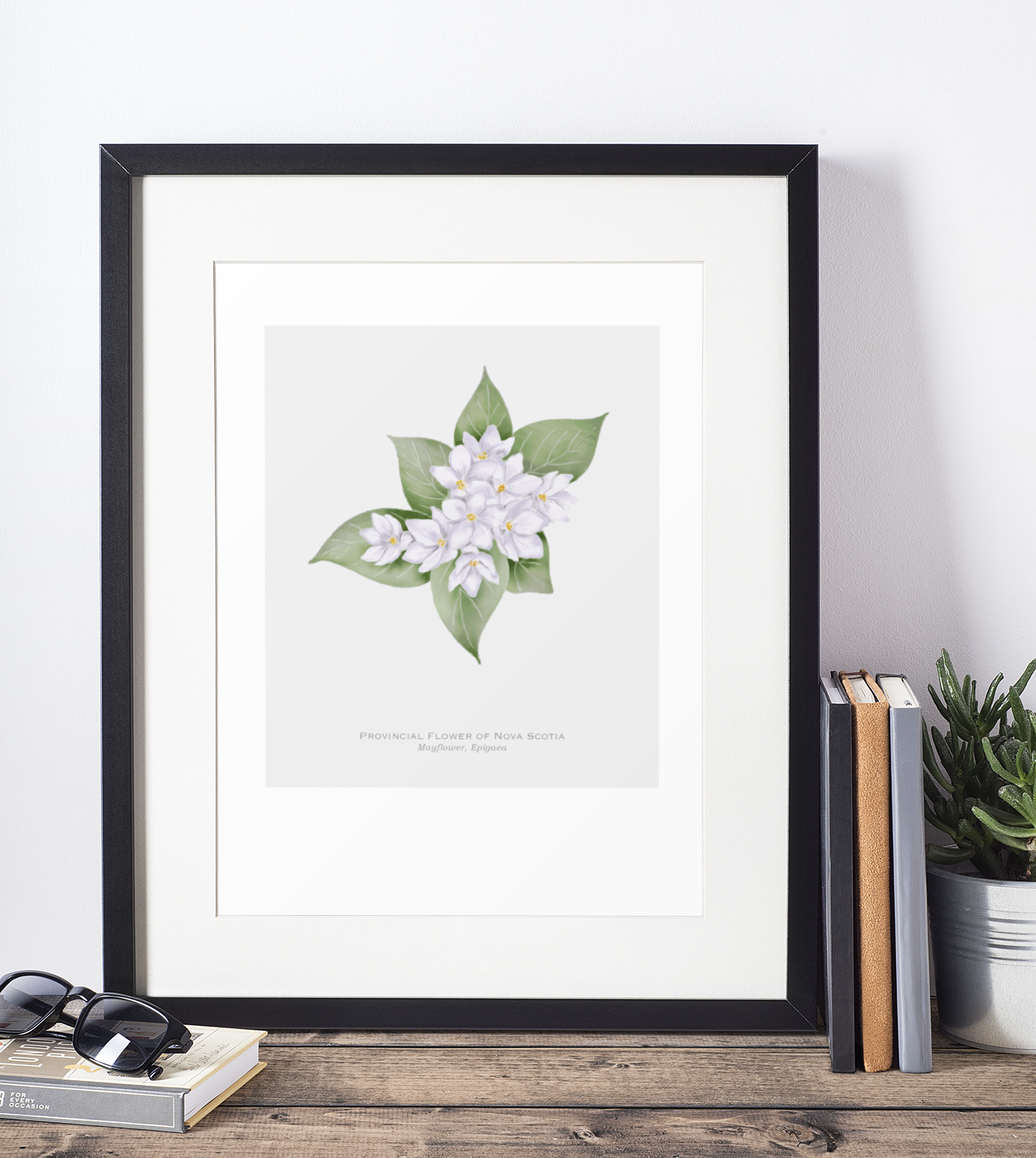 Provincial Flower of Nova Scotia Print - Mayflower