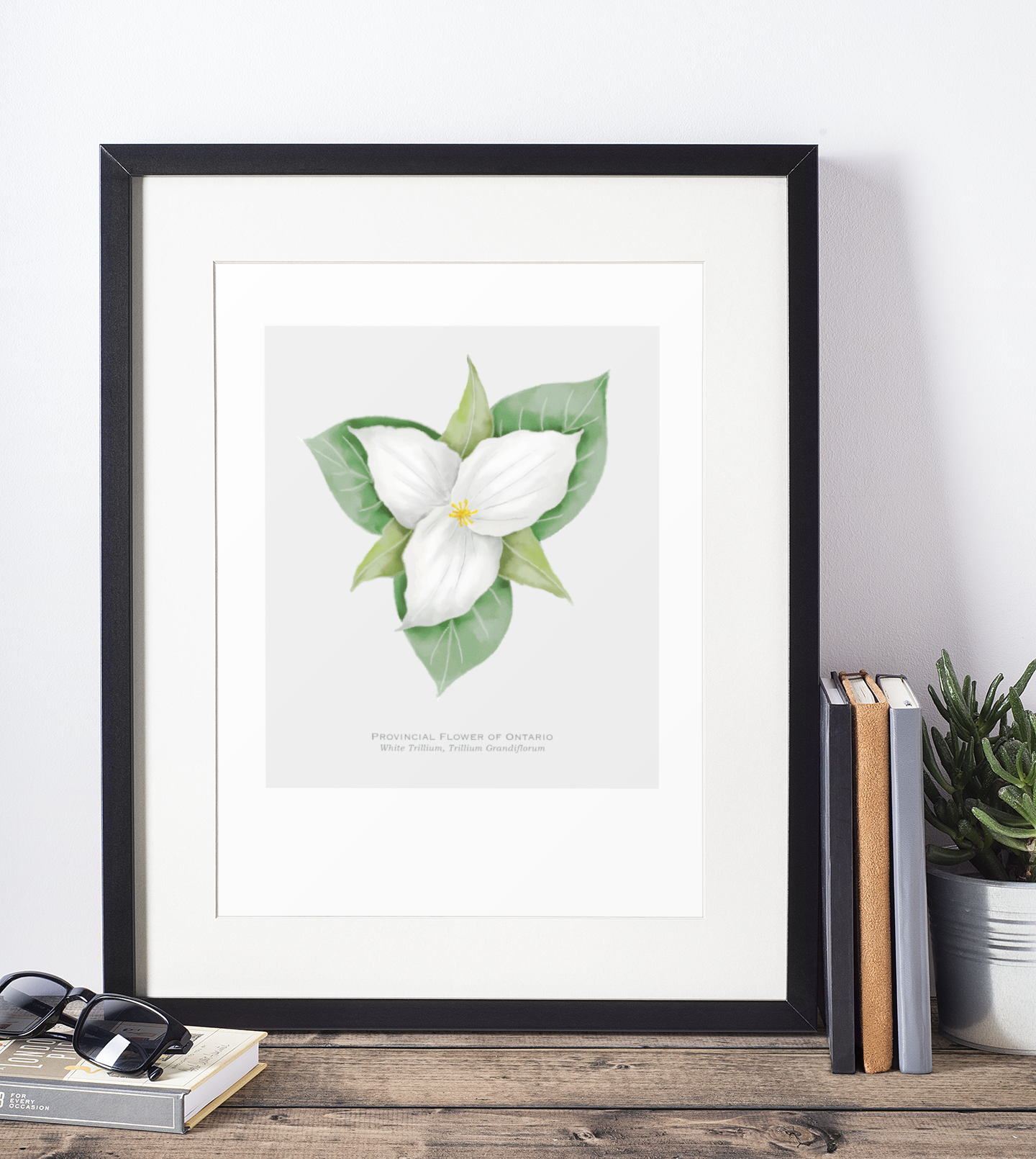 Provincial Flower of Ontario Print Print - White Trillium