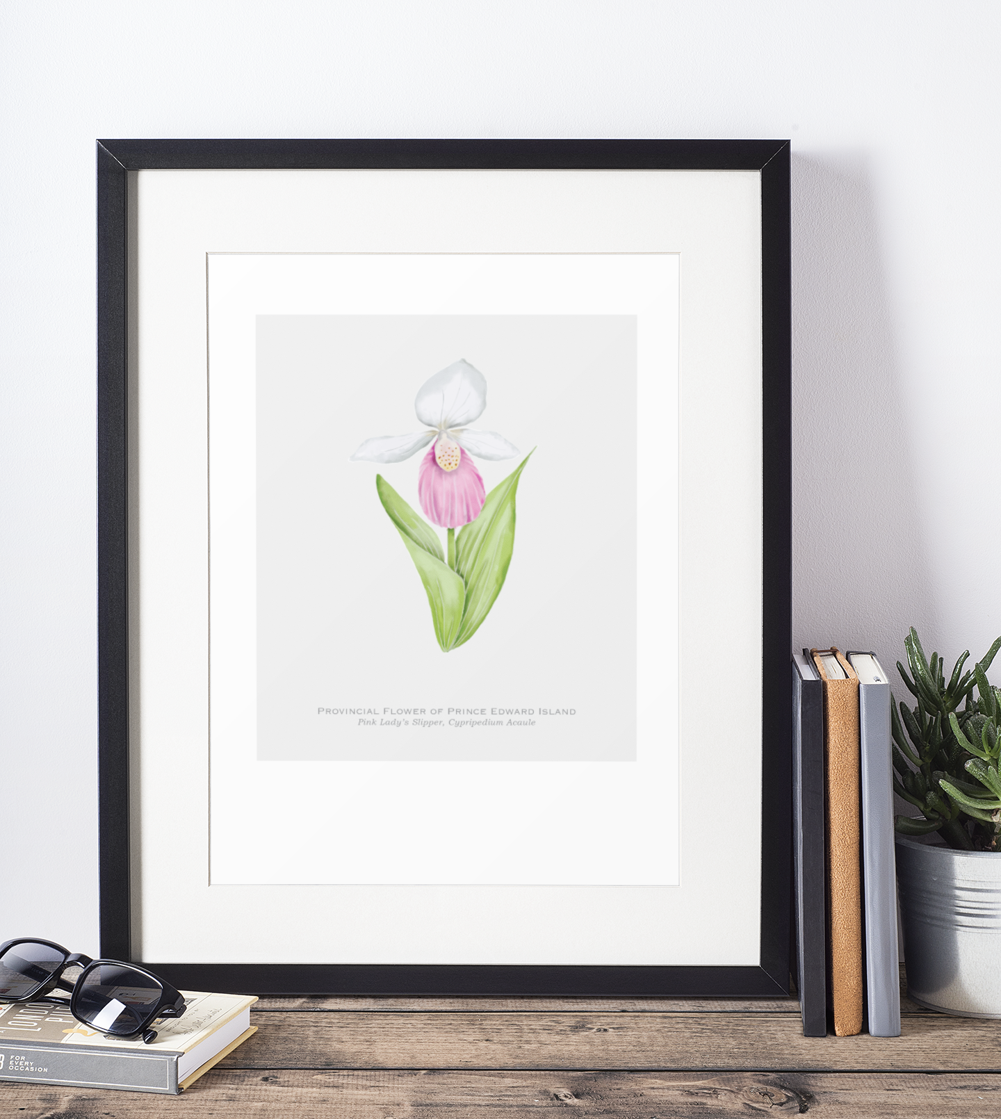Provincial Flower of Prince Edward Island Print - Pink Lady's Slipper