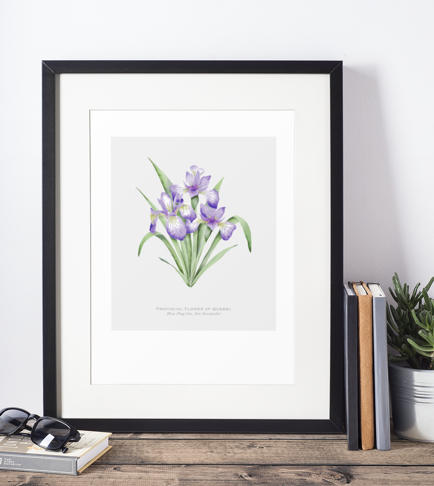 Provincial Flower of Quebec Print - Blue Flag Iris
