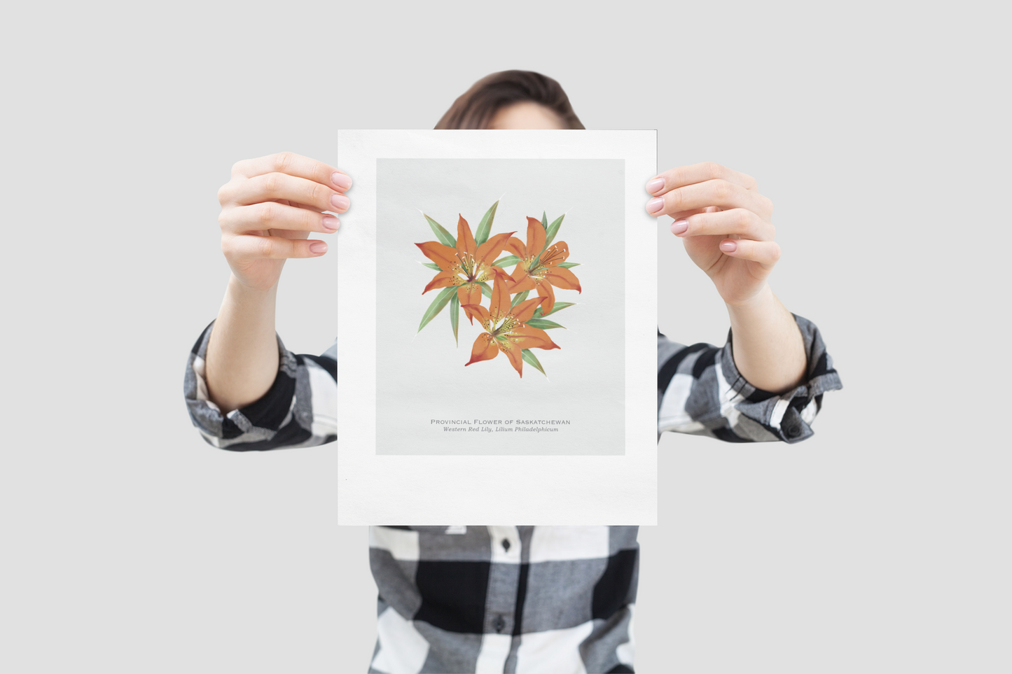 Provincial Flower of Saskatchewan Print - Western Red Lily