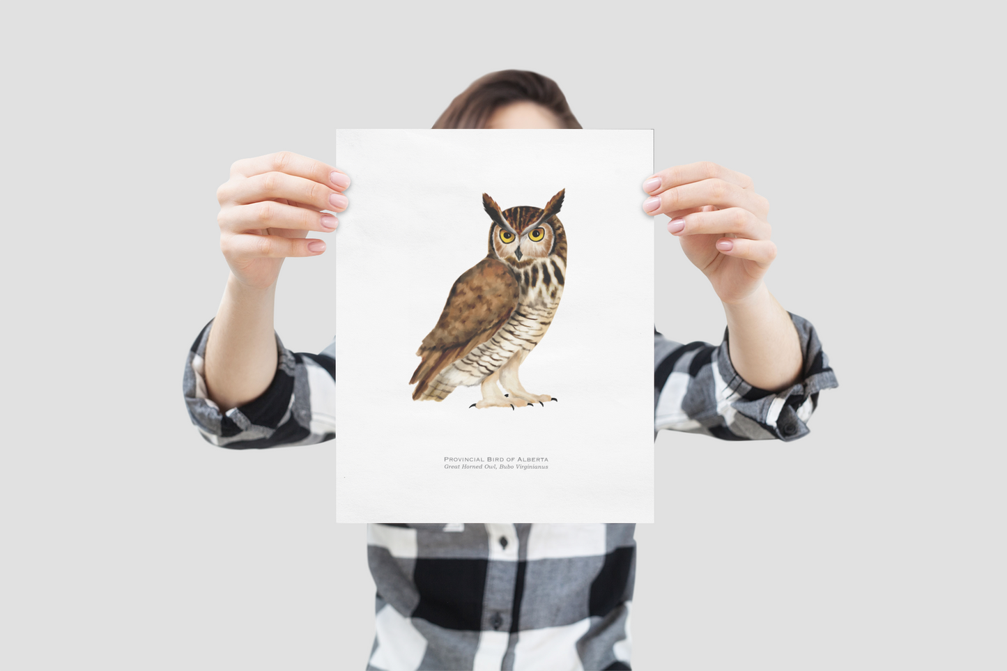 Provincial Bird of Alberta Print - Great Horned Owl