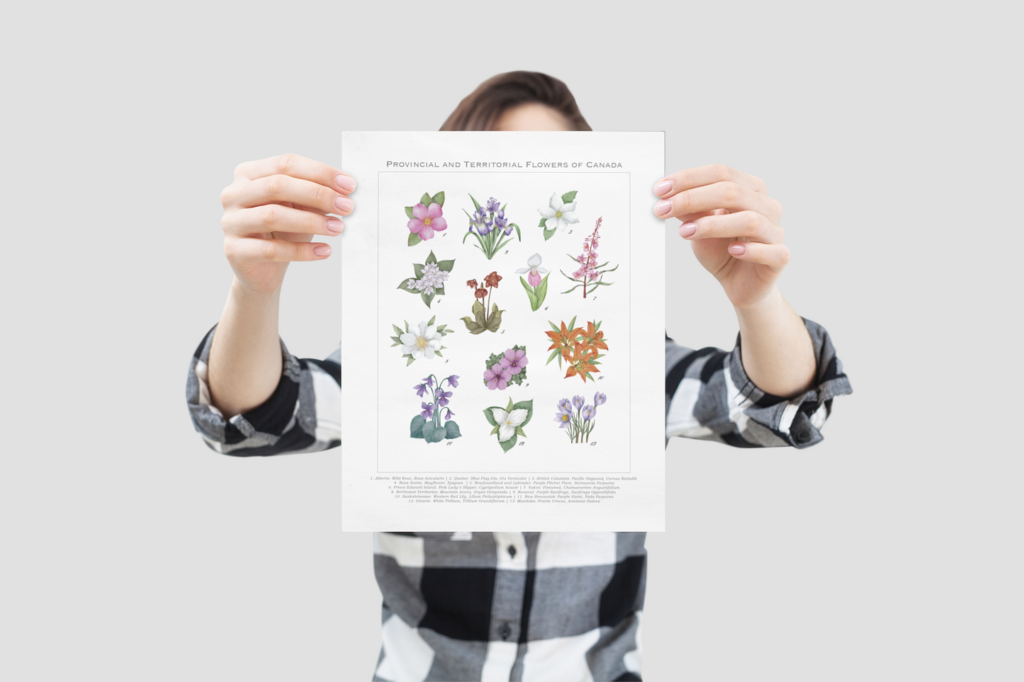 Provincial and Territorial Flowers of Canada 8" x 10" Print