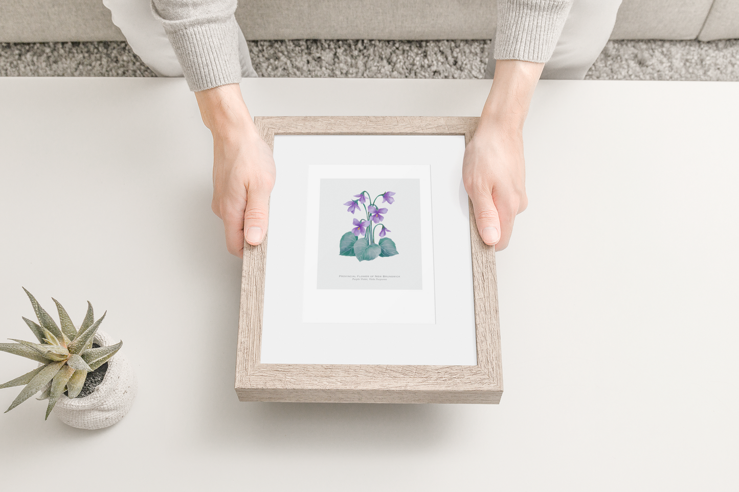 Provincial Flower of New Brunswick Print - Purple Violet