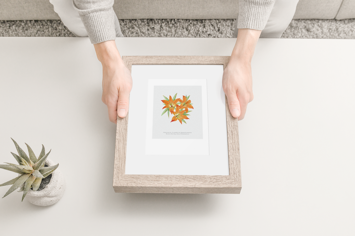 Provincial Flower of Saskatchewan Print - Western Red Lily