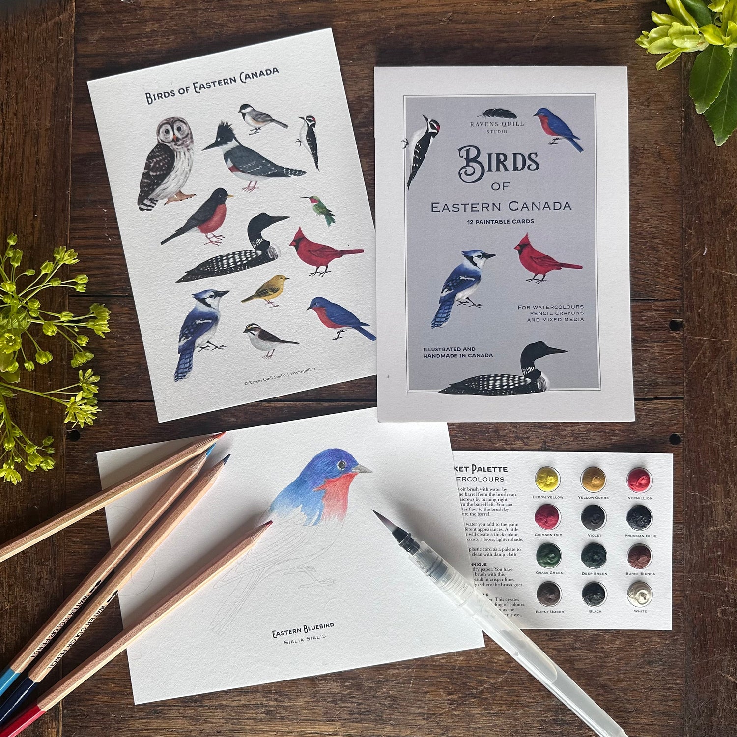 Paintable Card Sets