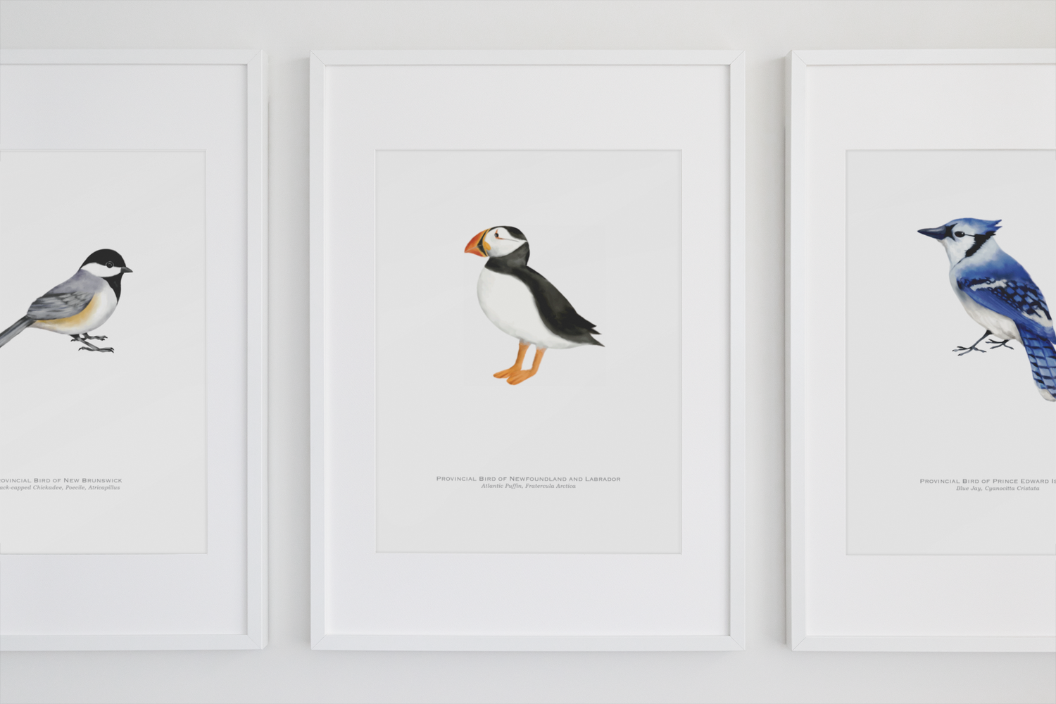 Prints