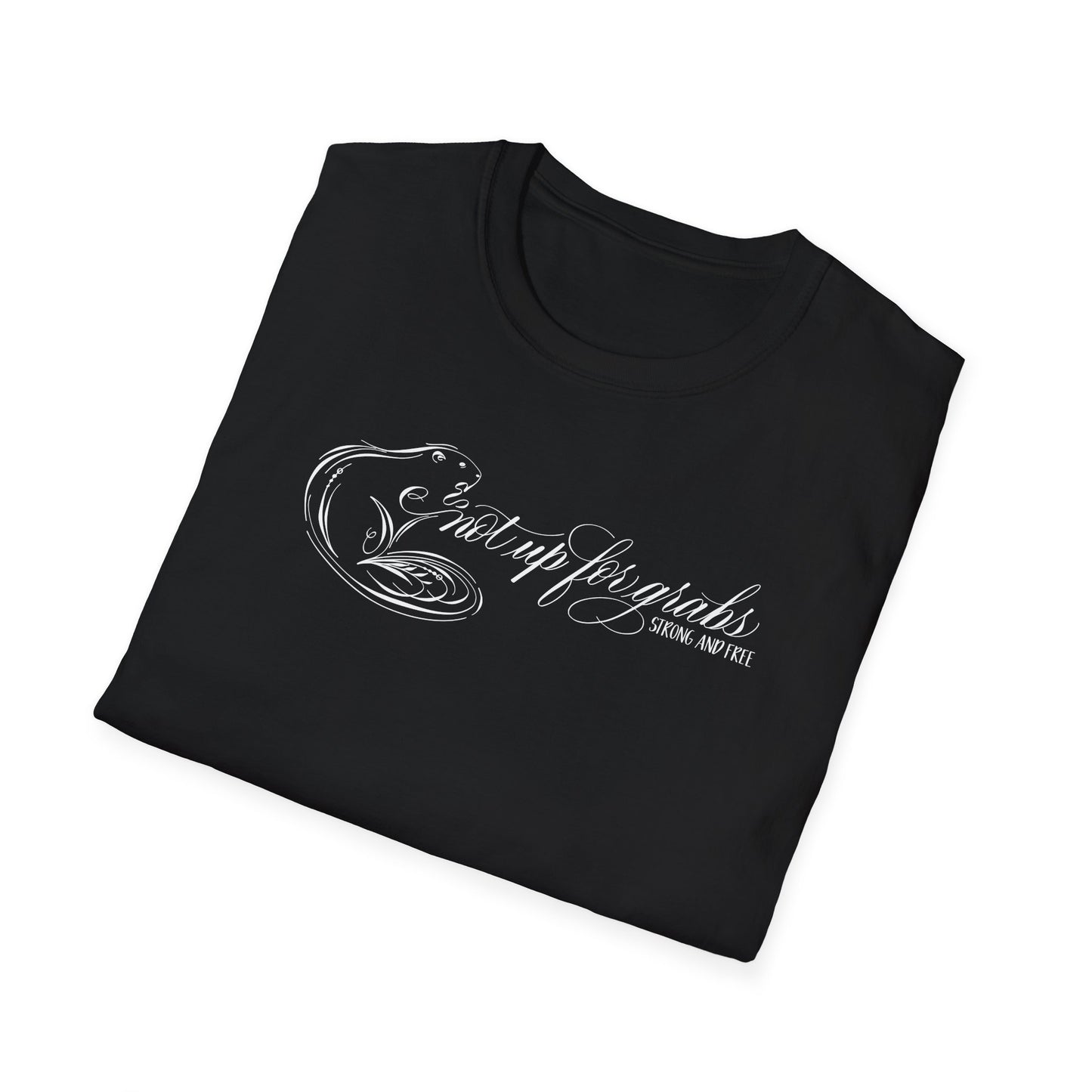 Not up for grabs unisex t-shirt