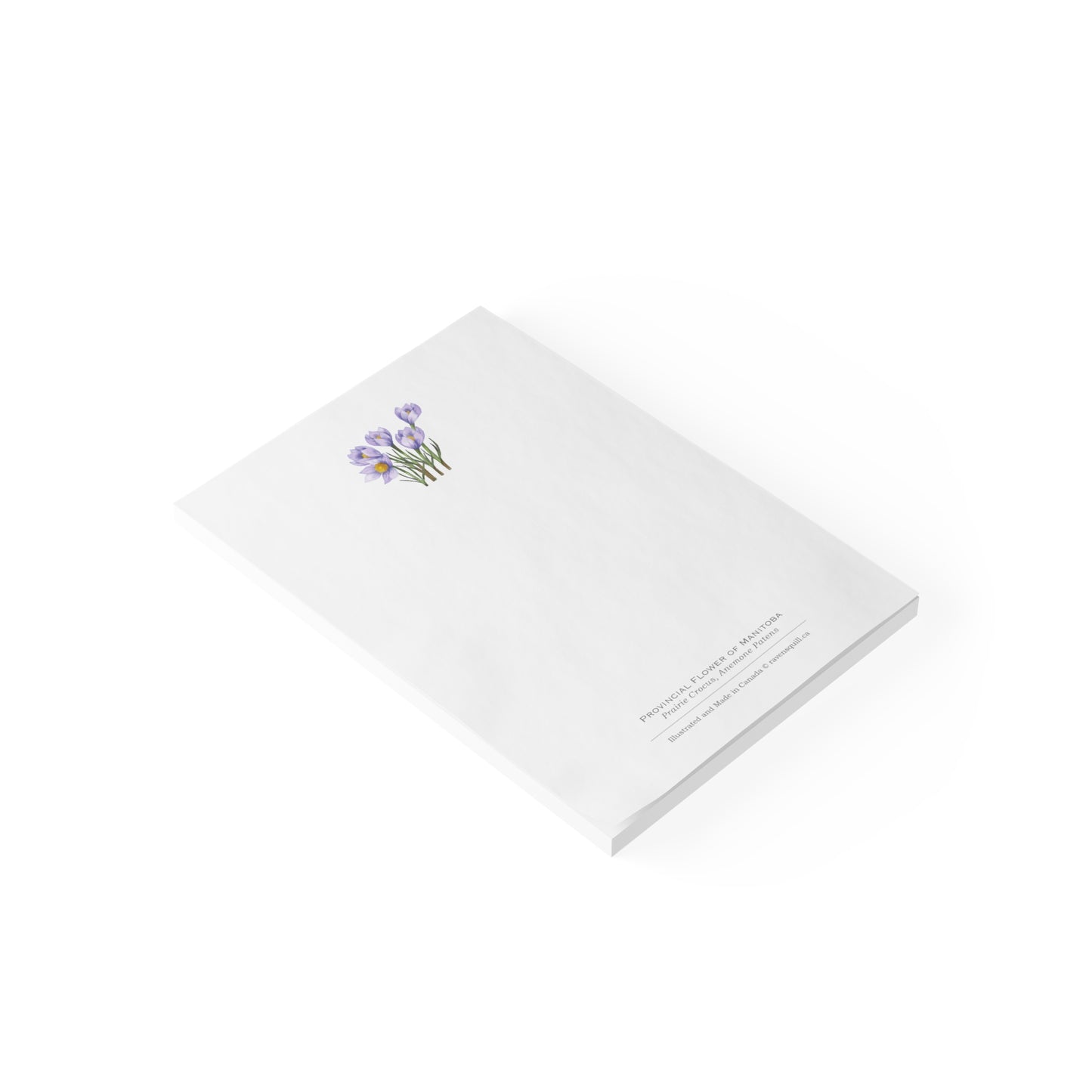 Provincial Flower of Manitoba Notepad - Prairie Crocus