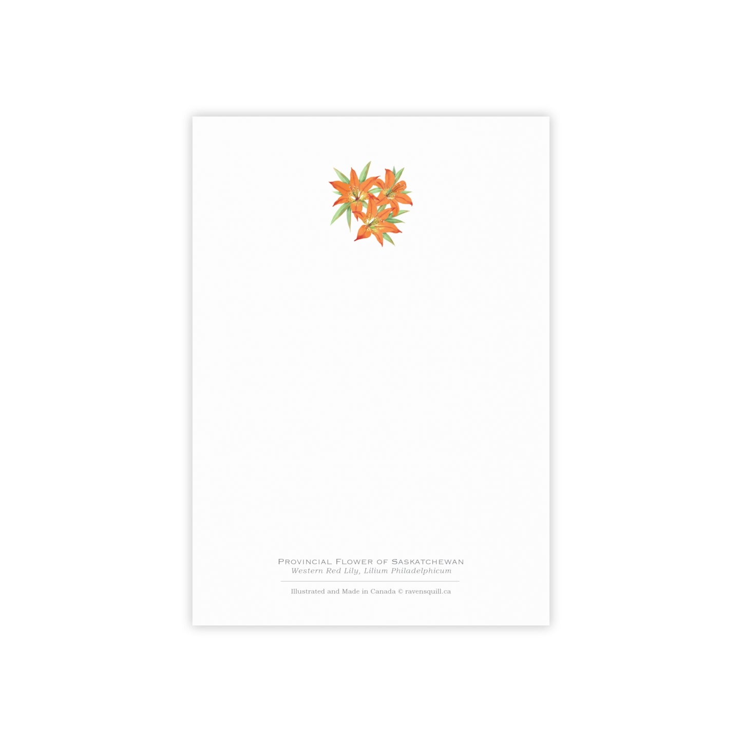 Provincial Flower of Saskatchewan Notepad - Western Red Lily