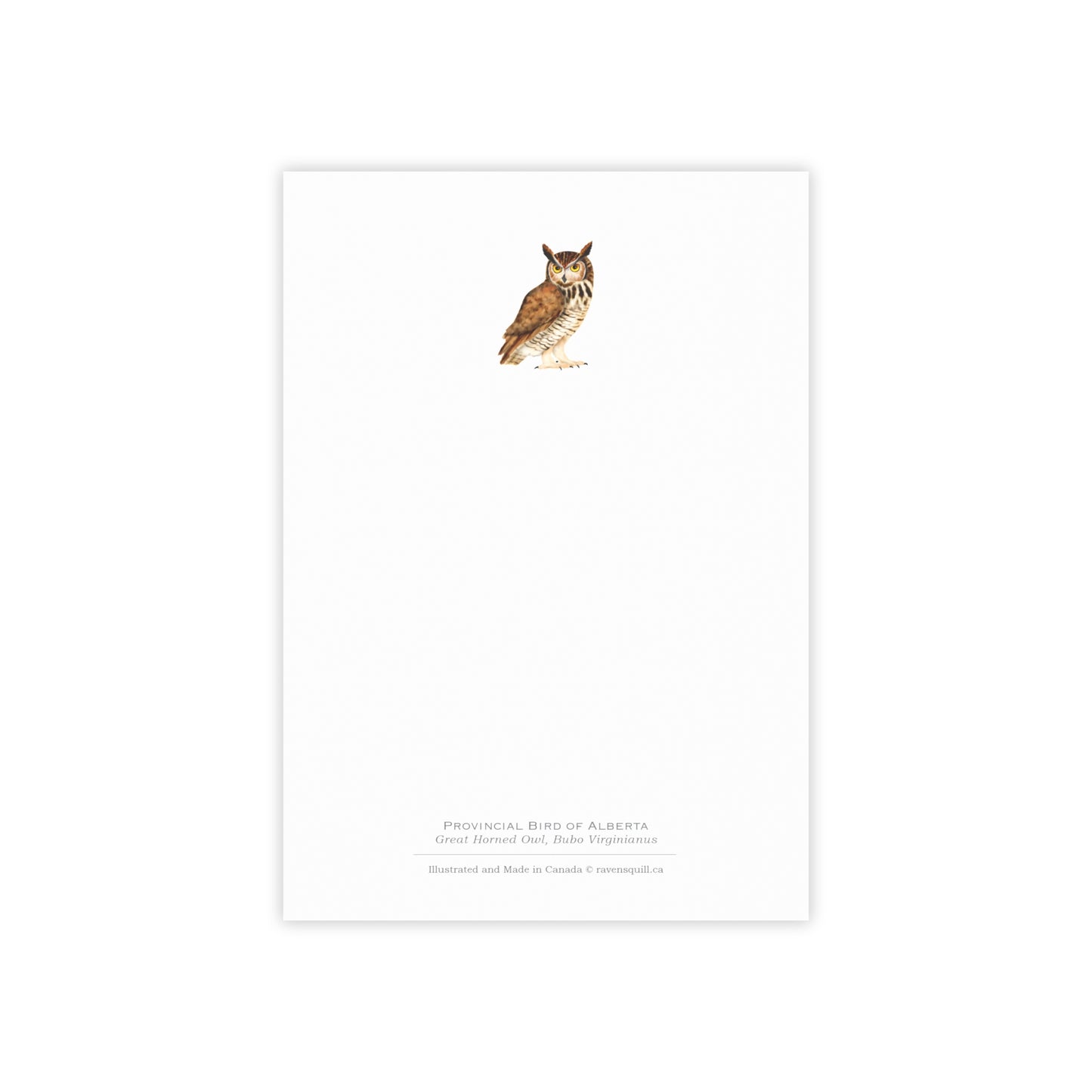 Provincial Bird of Alberta Notepad - Great Horned Owl