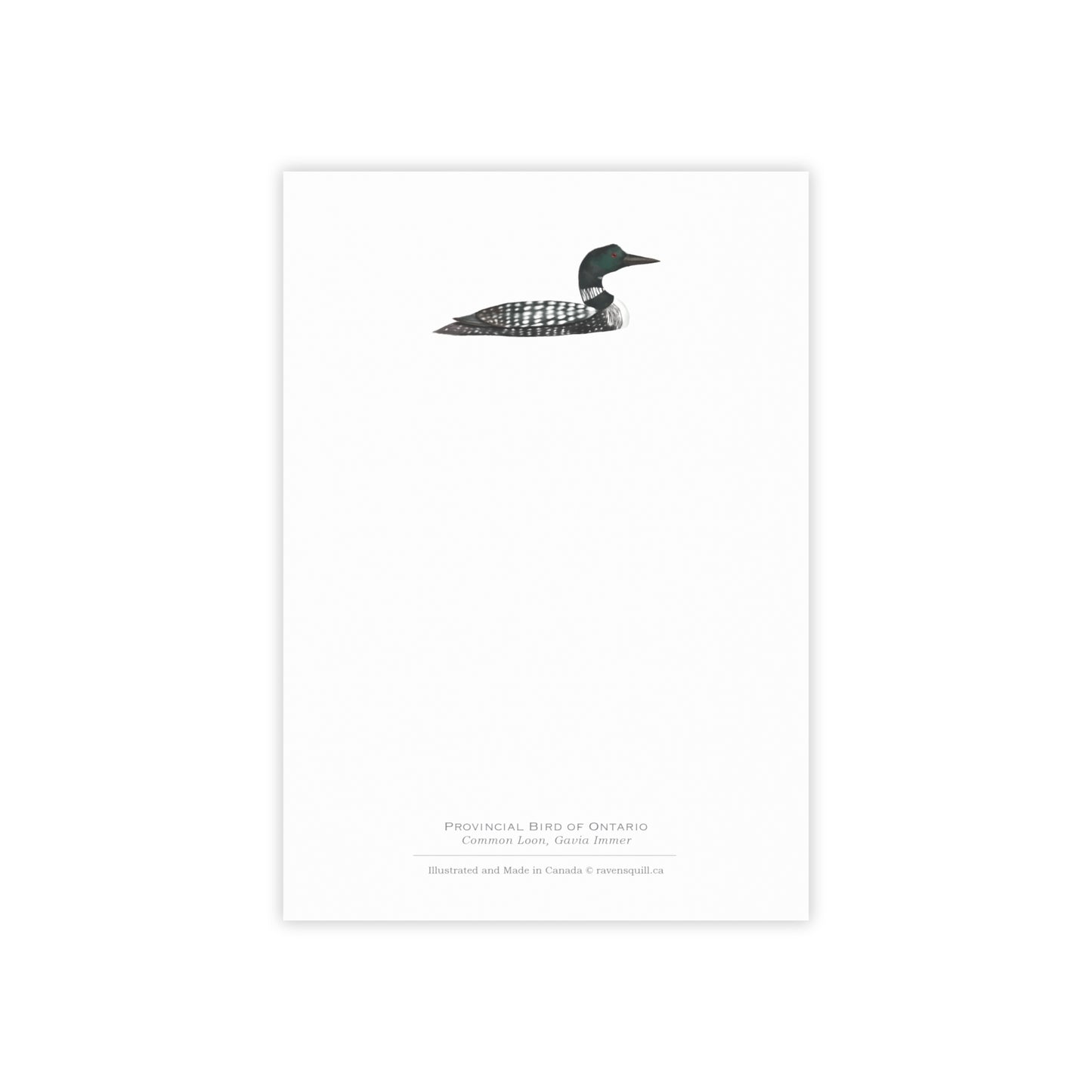 Provincial Bird of Ontario Notepad - Common Loon
