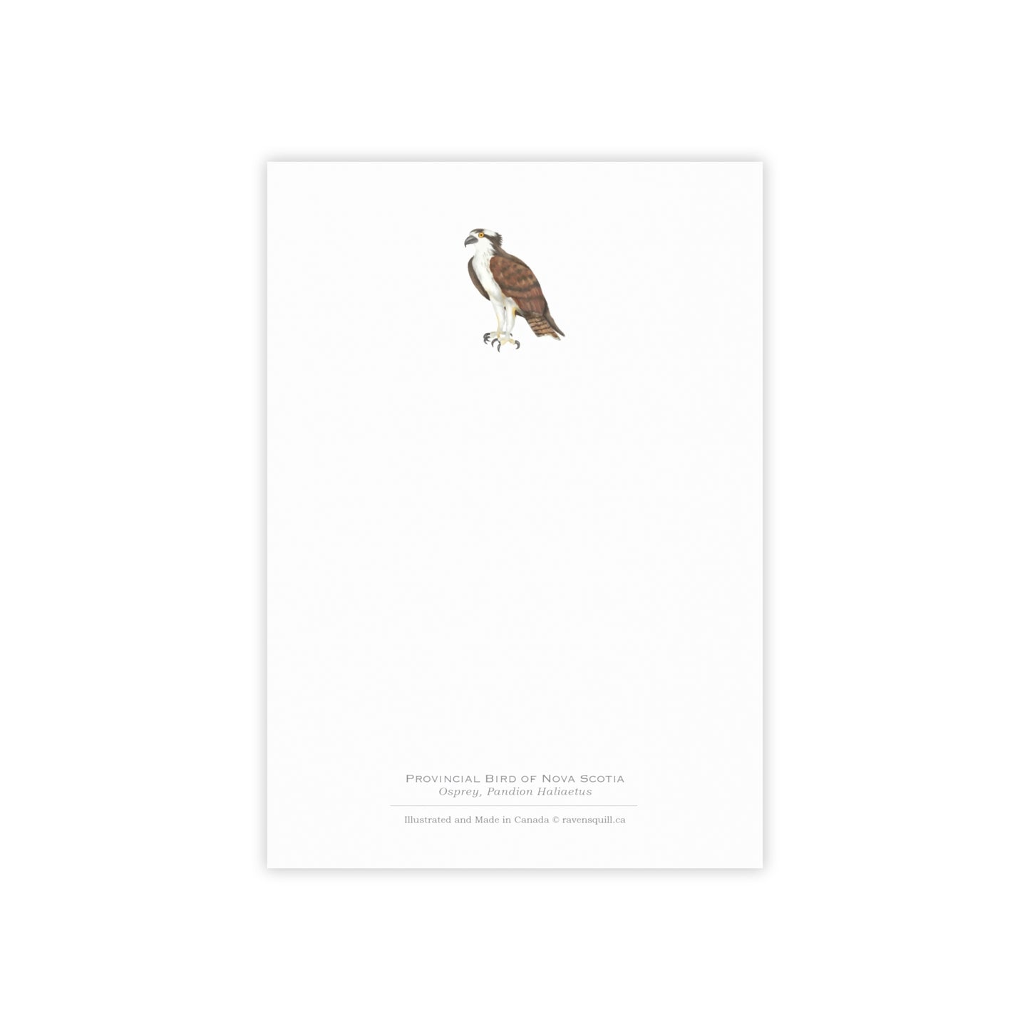 Provincial Bird of Nova Scotia Notepad - Osprey