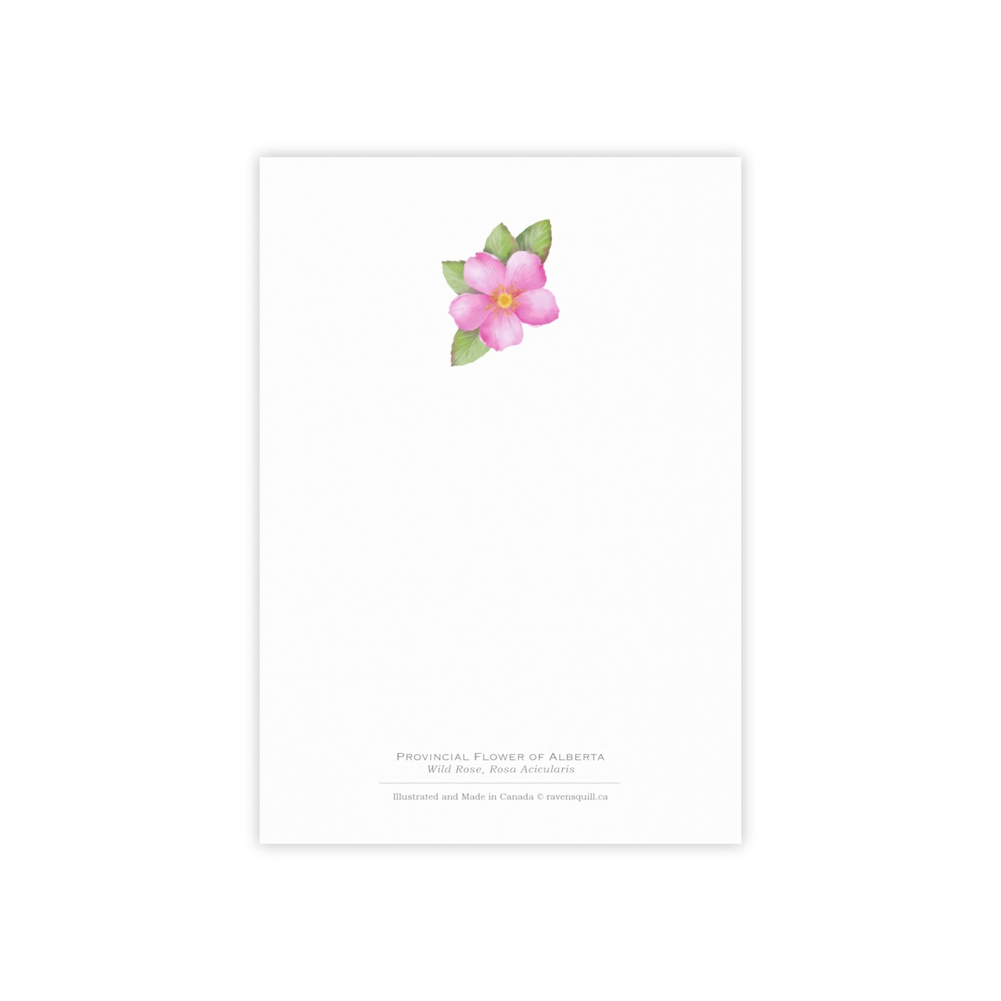 Provincial Flower of Alberta Notepad - Wild Rose