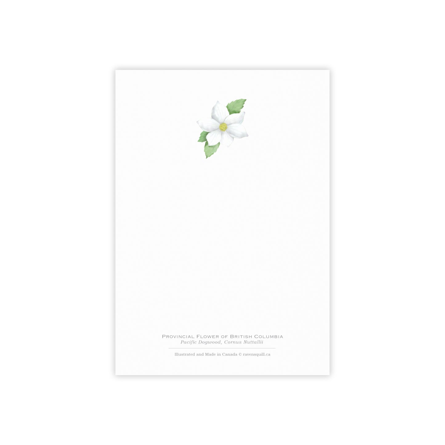 Provincial Flower of British Columbia Notepad - Pacific Dogwood
