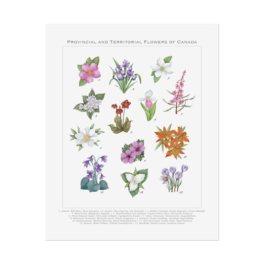 Provincial and Territorial Flowers of Canada 8" x 10" Print