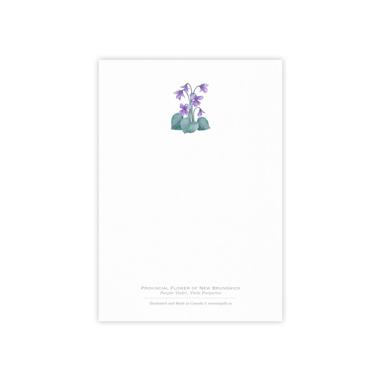 Provincial Flower of New Brunswick Notepad - Purple Violet