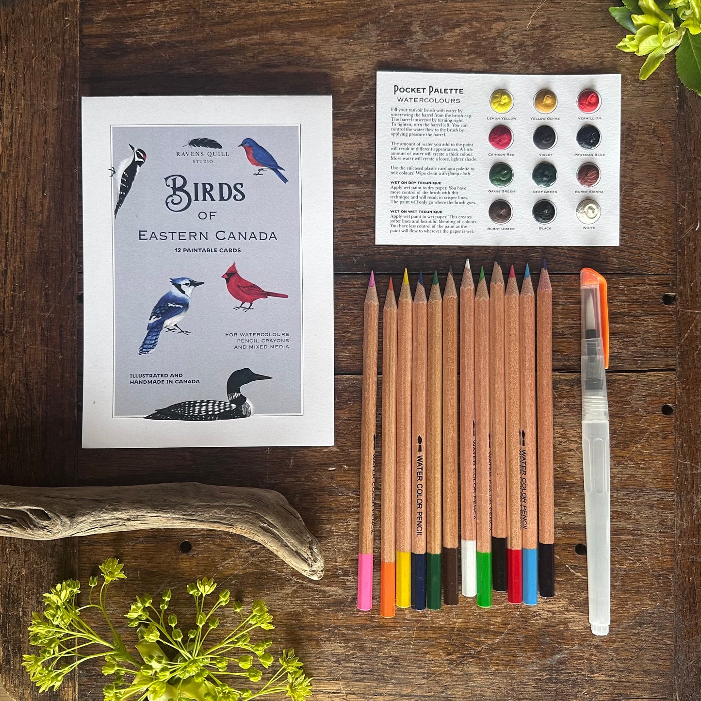 Birds of Eastern Canada Paintable Card Set