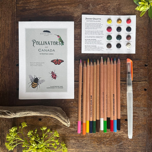 Pollinators of Canada Paintable Card Set