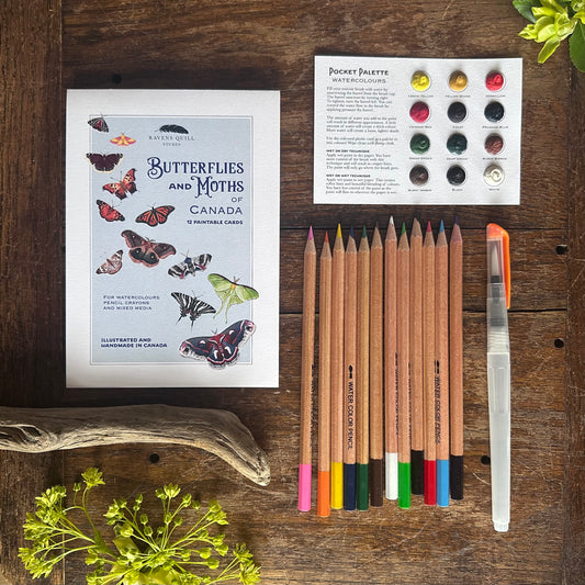 Butterflies and Moths of Canada Paintable Card Set