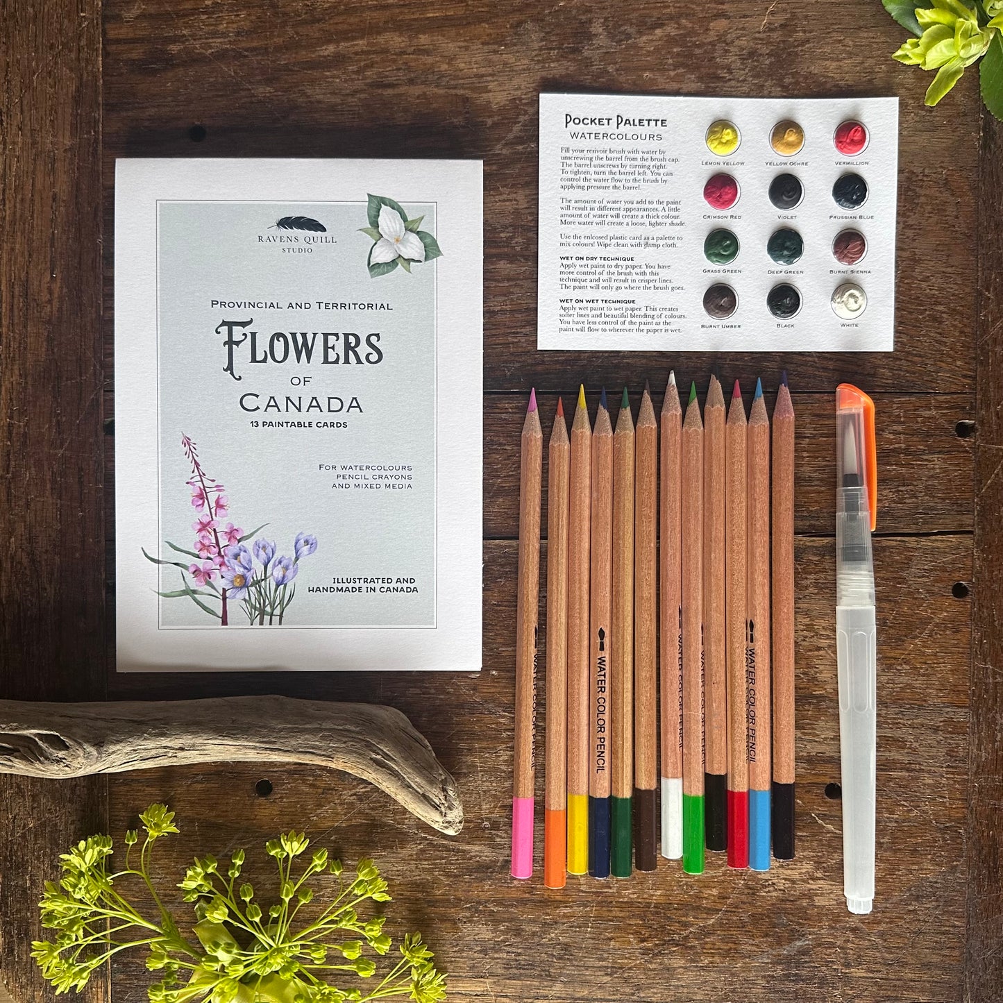 Provincial and Territorial Flowers of Canada Paintable Card Set