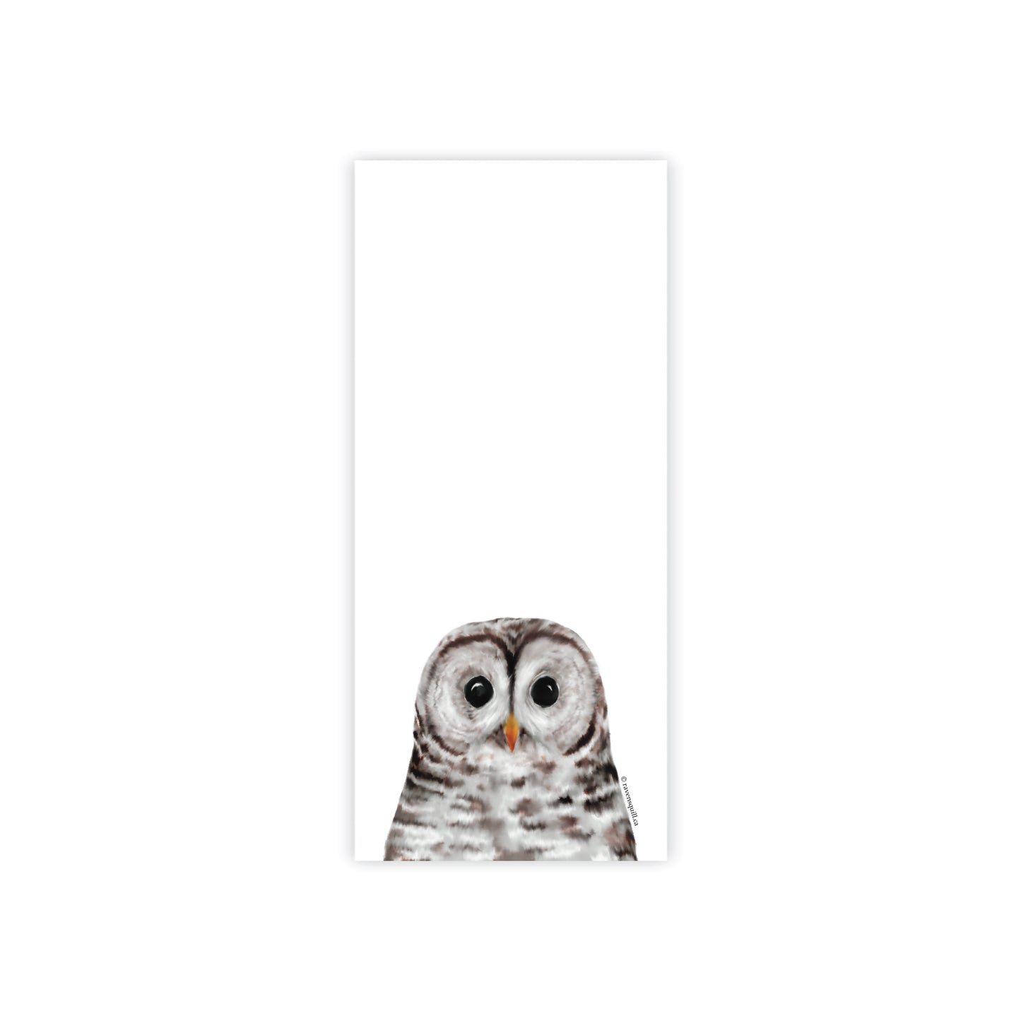 Barred Owl Notepad 3.5" x 8"