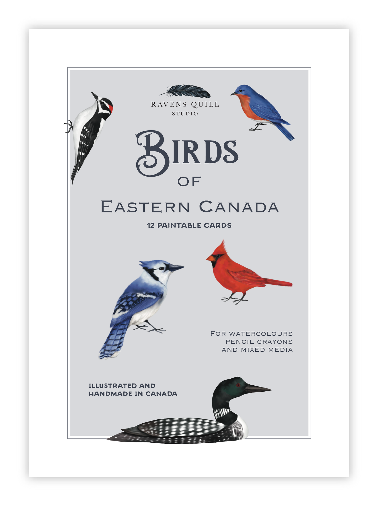 Birds of Eastern Canada Paintable Card Set