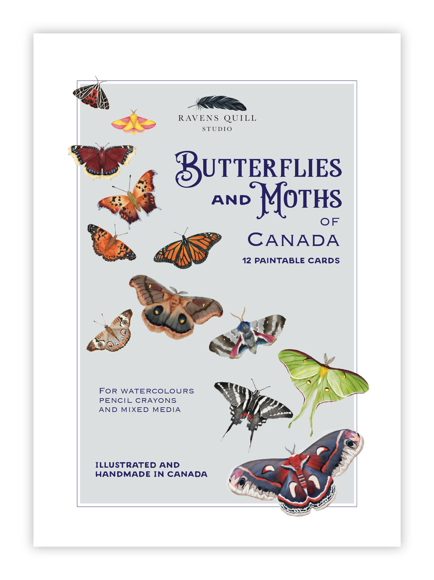 Butterflies and Moths of Canada Paintable Card Set