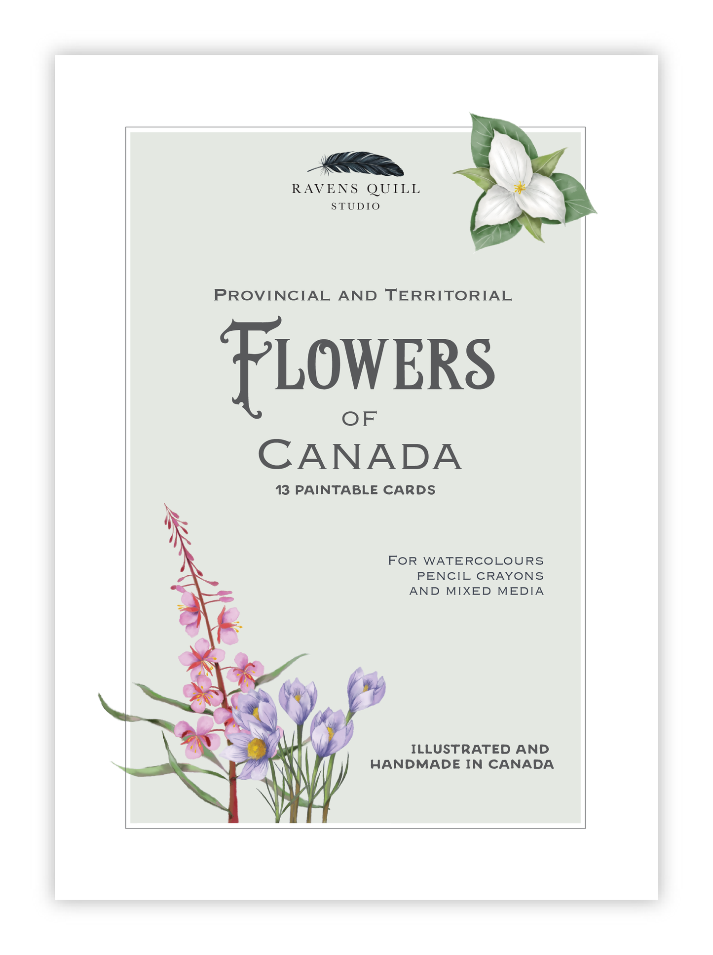 Provincial and Territorial Flowers of Canada Paintable Card Set