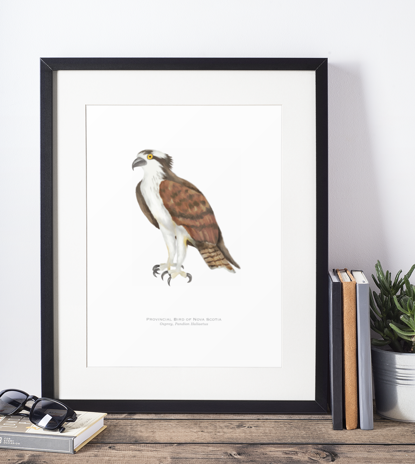 Provincial Bird of Nova Scotia Print - Osprey