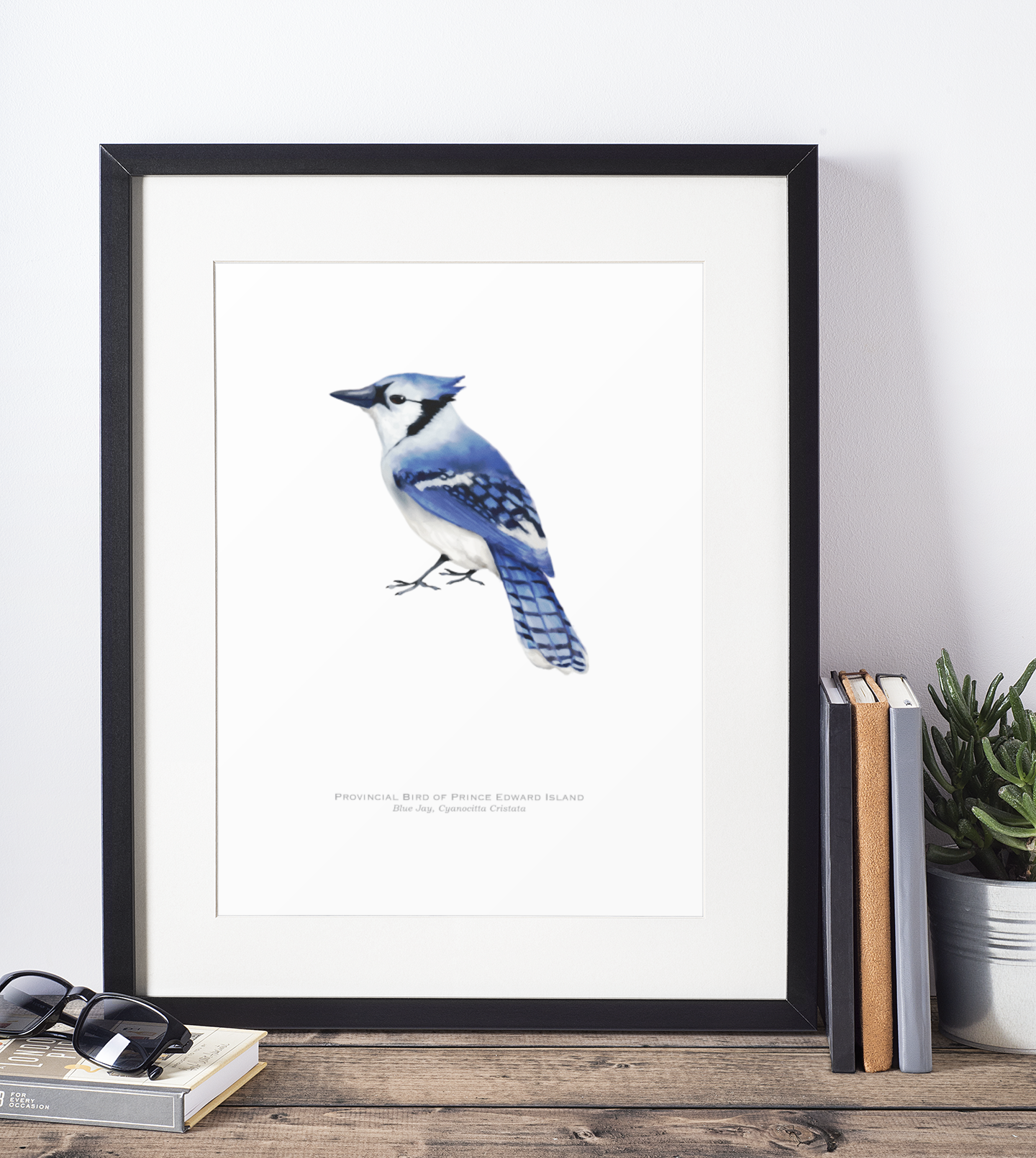Provincial Bird of Prince Edward Island Print - Blue Jay