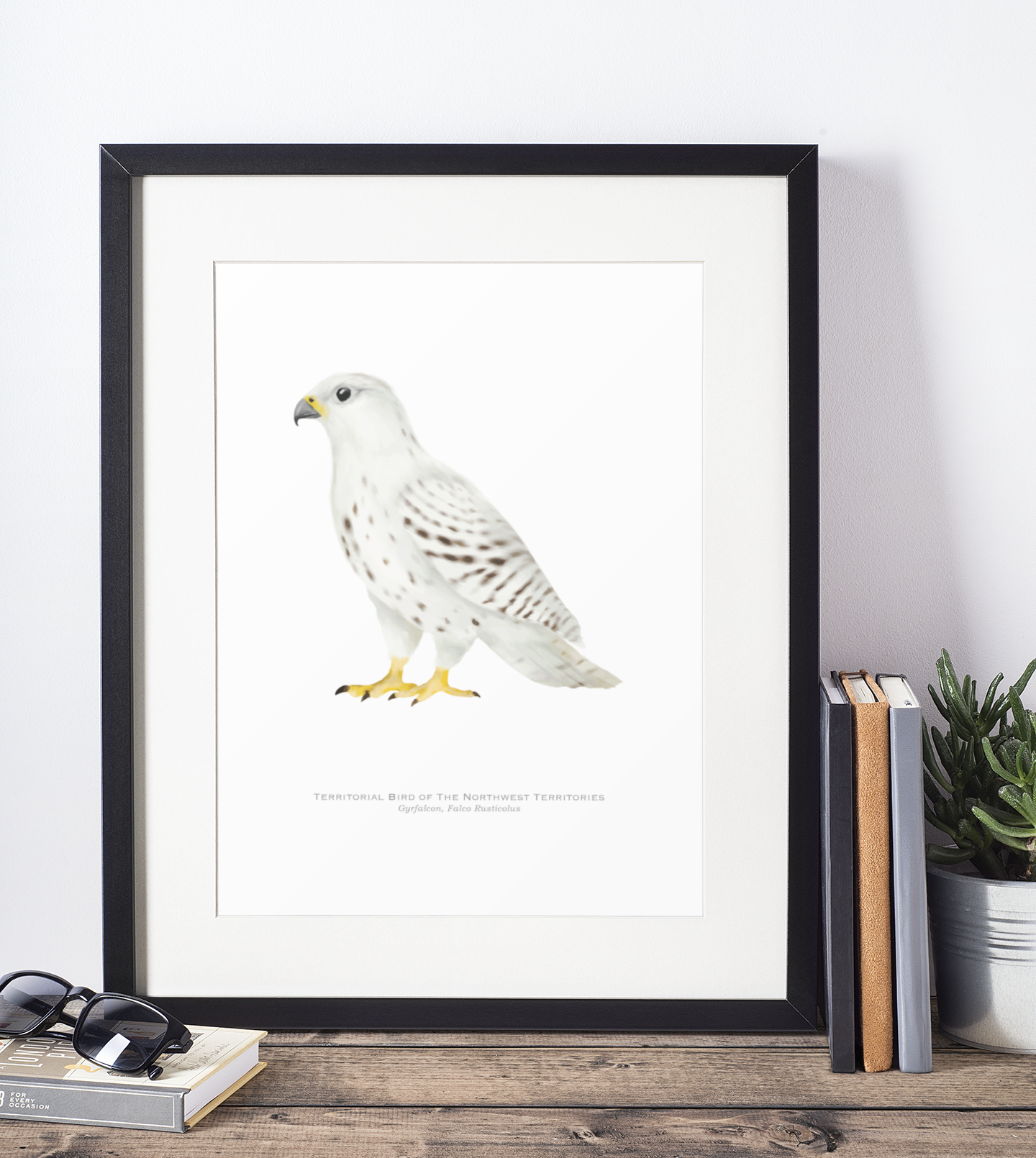 Territorial Bird of the Northwest Territories Print - Gyrfalcon
