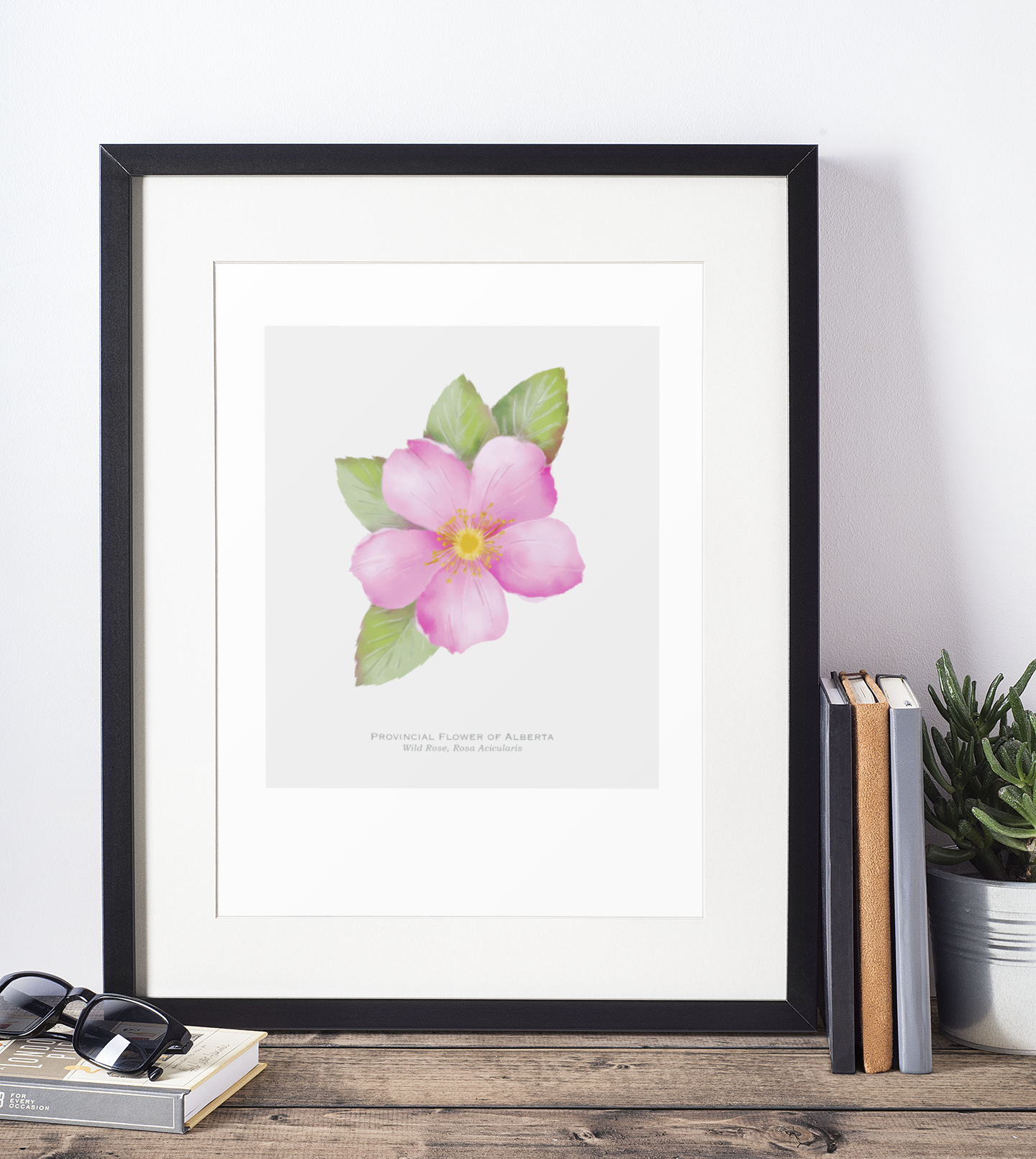Provincial Flower of Alberta Print - Wild Rose
