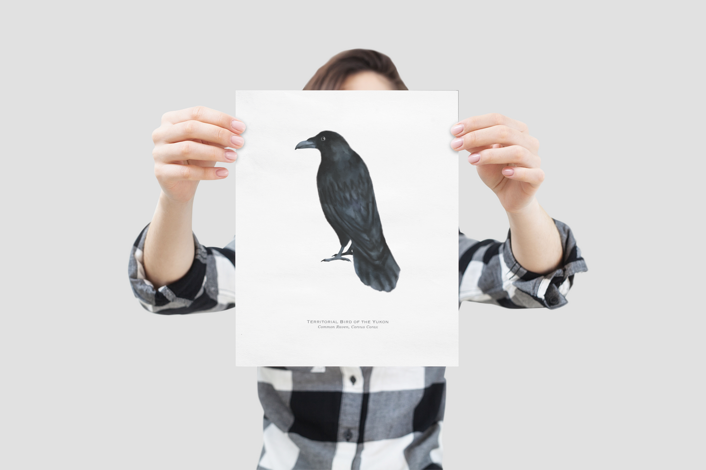 Territorial Bird of the Yukon Print - Raven