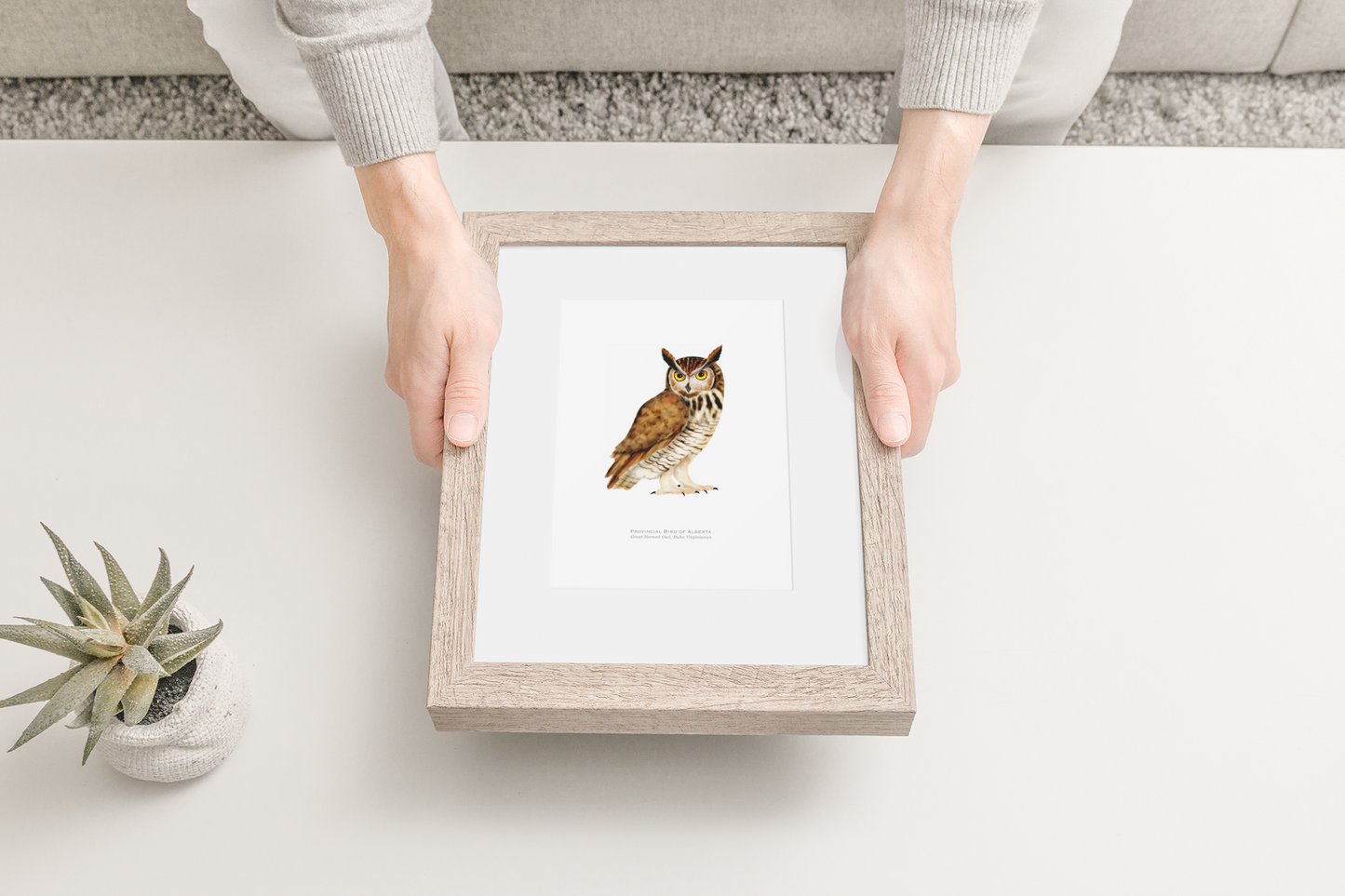 Provincial Bird of Alberta Print - Great Horned Owl