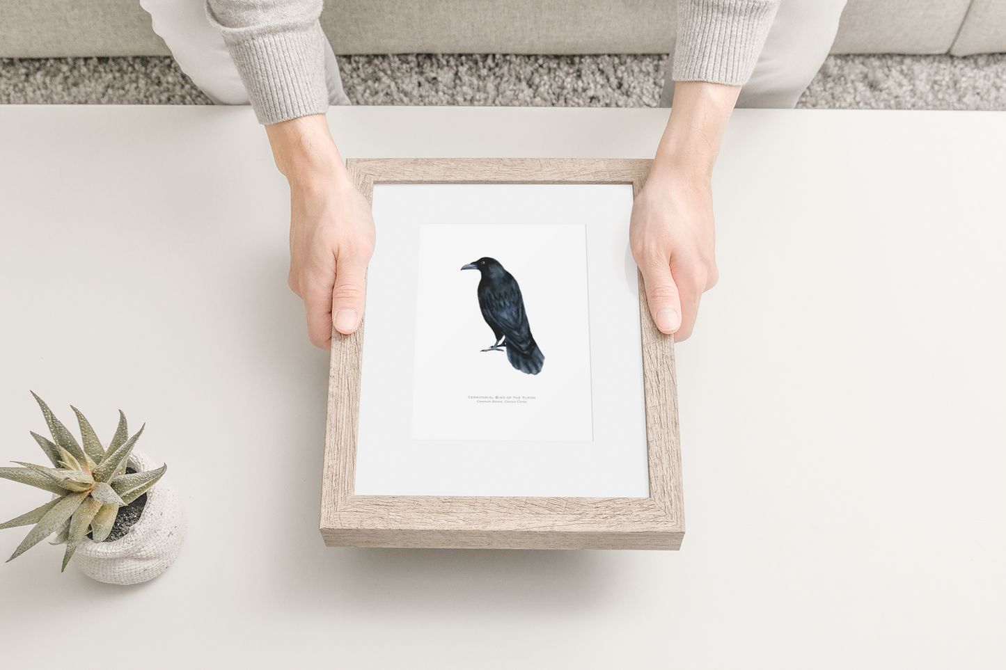Territorial Bird of the Yukon Print - Raven