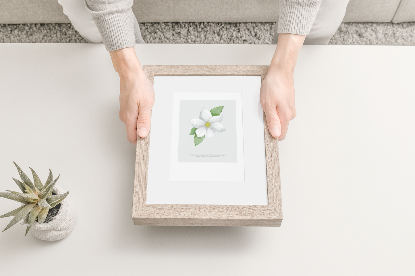 Provincial Flower of British Columbia Print - Pacific Dogwood
